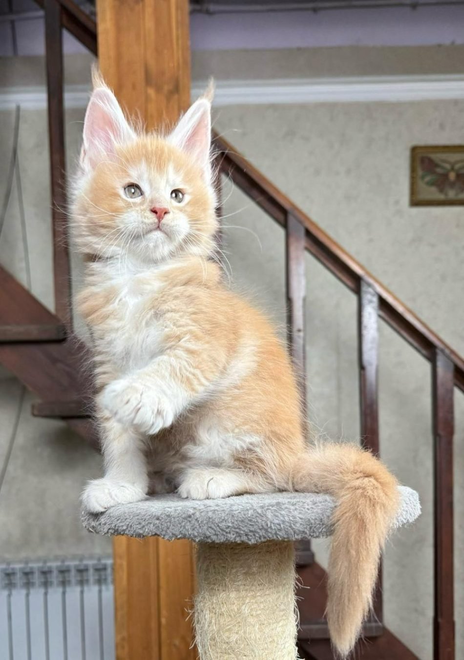 WhatsApp Image 2026-03-02 at 02.24.12