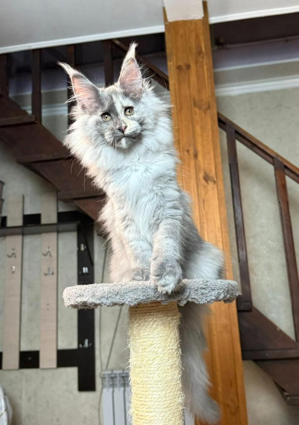 WhatsApp Image 2026-03-04 at 23.37.52