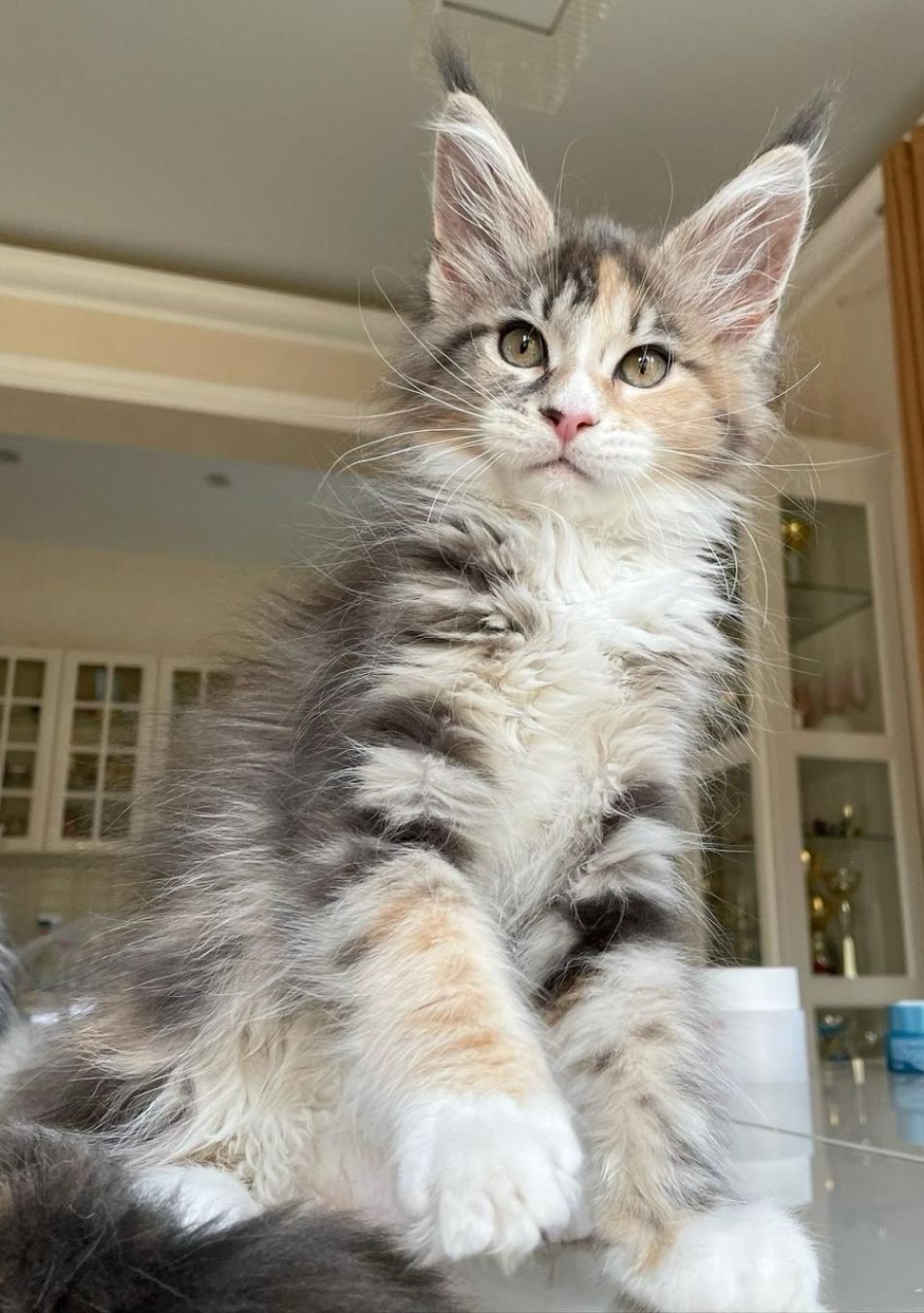 WhatsApp Image 2026-03-04 at 23.39.35