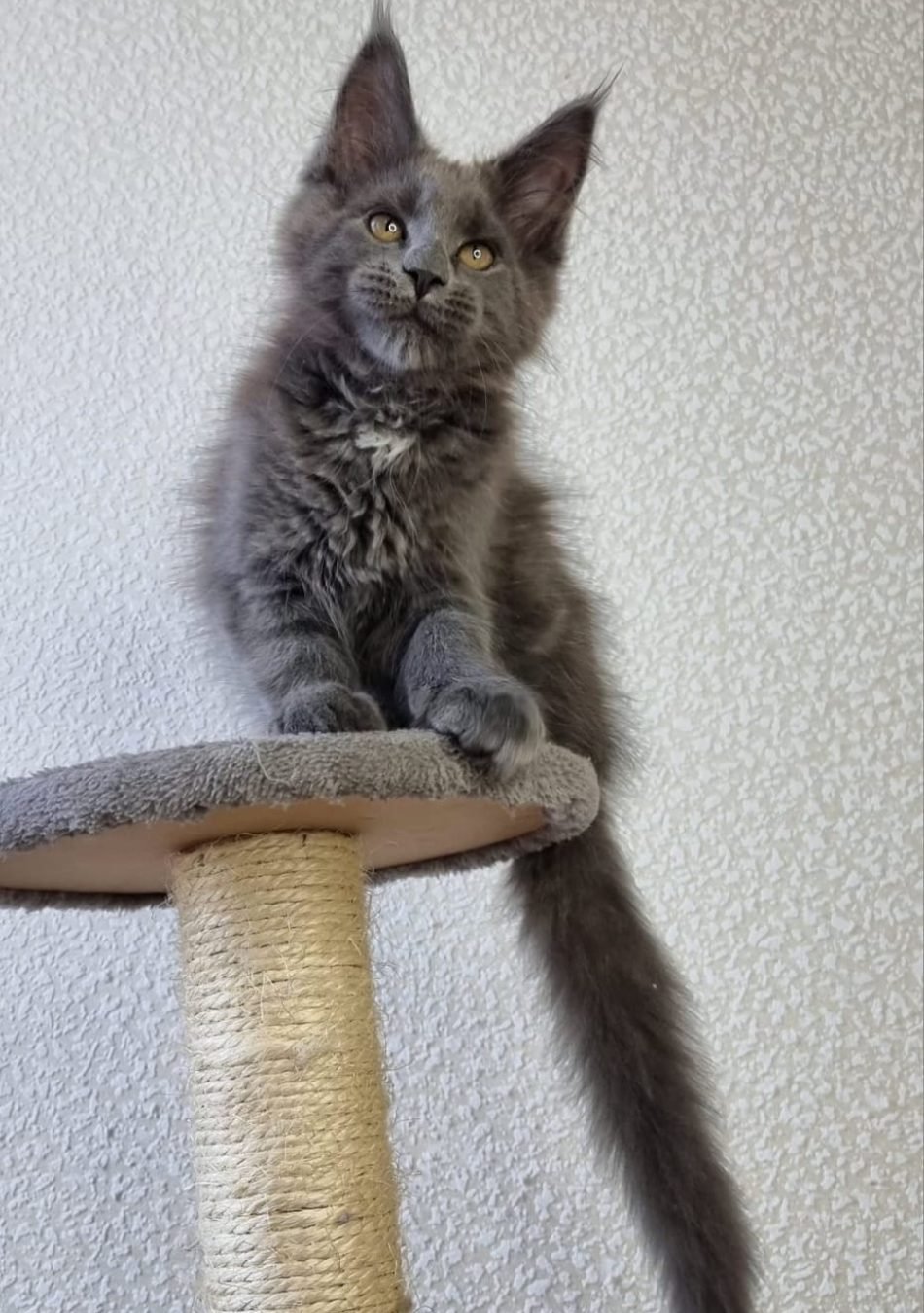 WhatsApp Image 2026-03-04 at 23.43.16