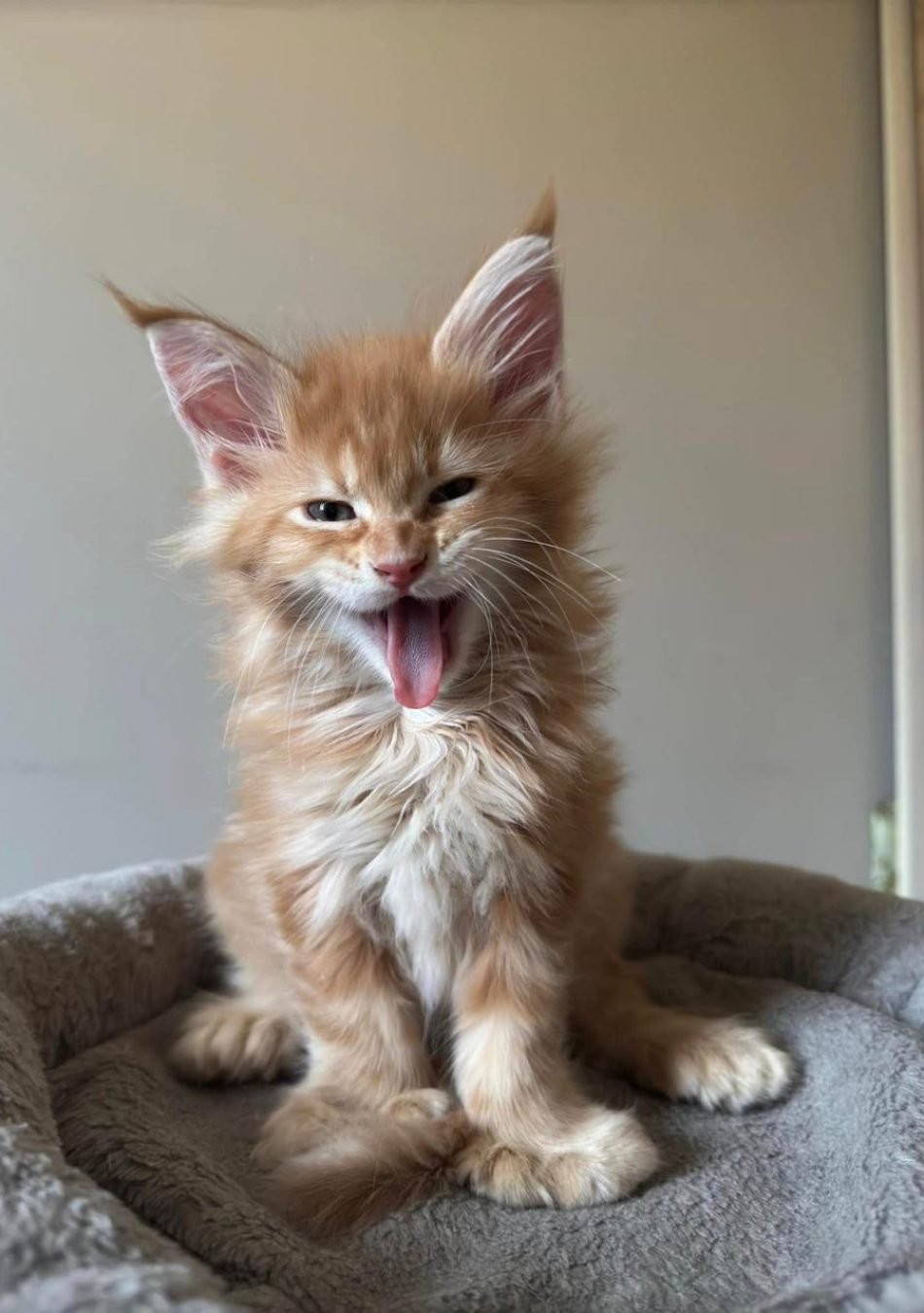 WhatsApp Image 2026-03-04 at 23.50.36