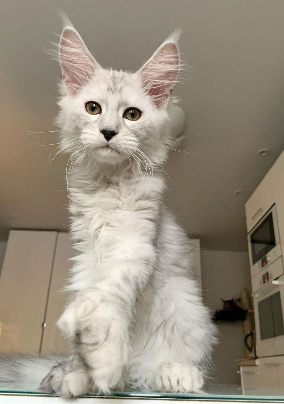 WhatsApp Image 2026-03-27 at 18.01.52